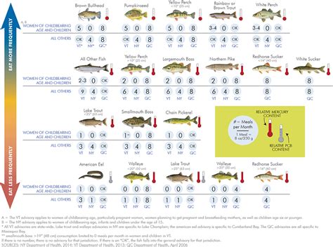 紅色的魚種類|食用魚圖鑑 Fish Consumption Illustrations